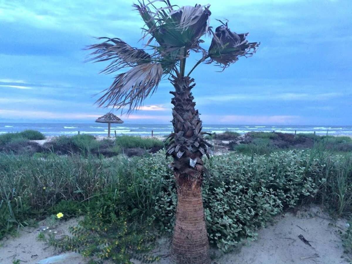 Fun In The Sun! Cozy Beach Pad, Gulf Views And Easy Access To The Sand! Surfside Beach Esterno foto